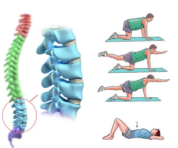 Physiotherapy and massage