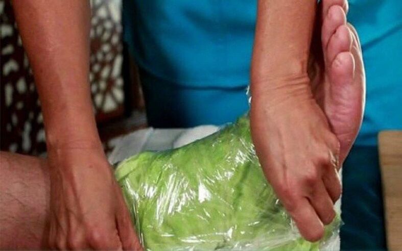 wrap with cabbage leaf for osteoarthritis